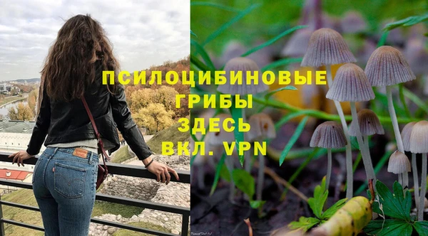 прущие крисы Белокуриха