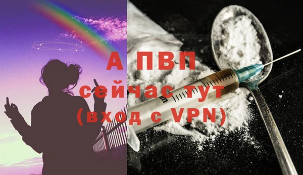 прущие крисы Белокуриха
