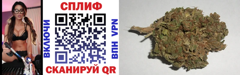 Бошки Шишки THC 21%  цены   Горняк 